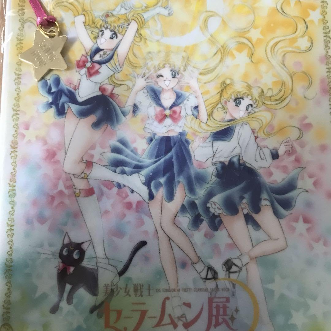 セーラームーン 1億枚突破記念 カードダス 武内直子 原作絵　レア　限定品 セーラームーン 1億枚突破記念 カードダス 武内直子 原作絵 希少