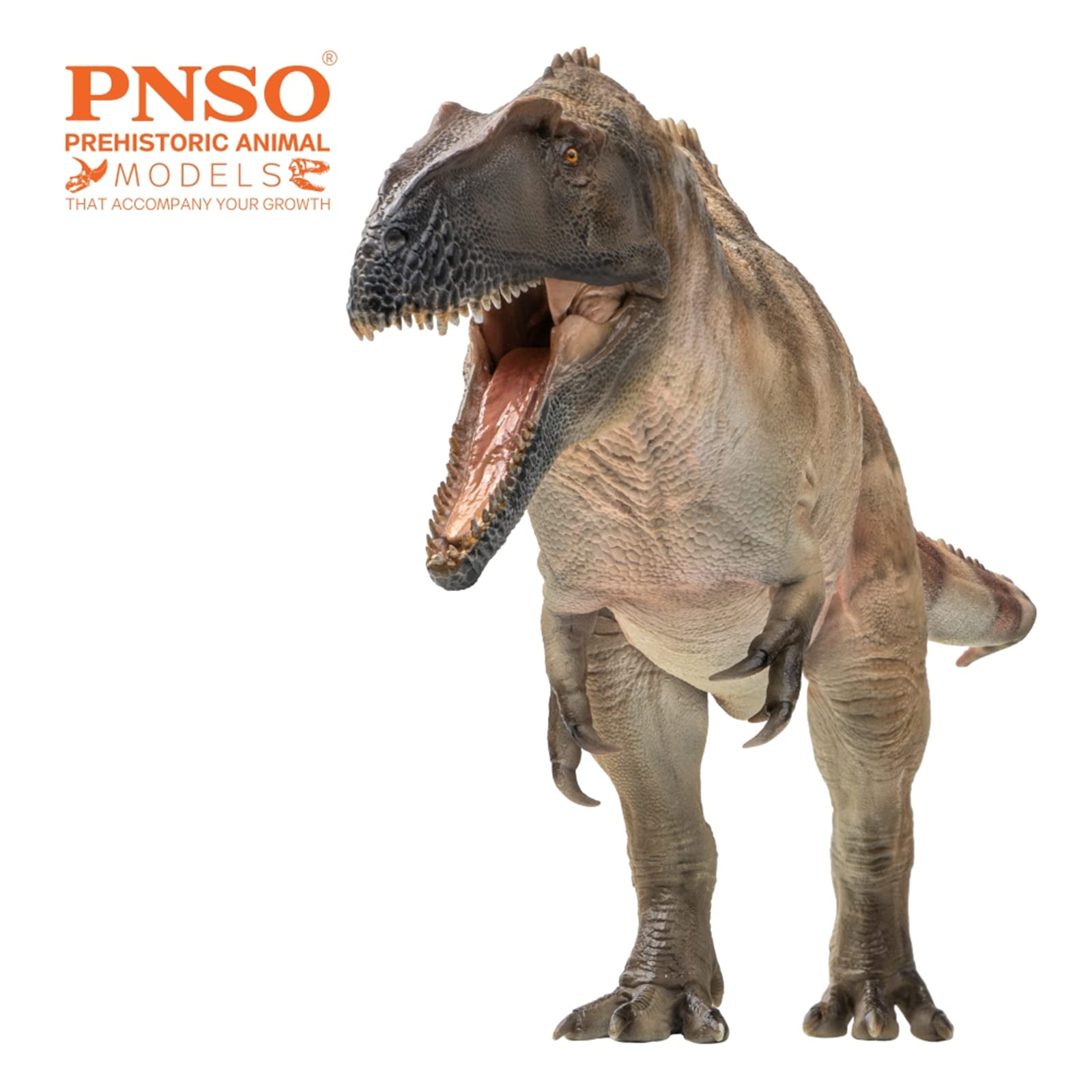 AMITD 61 Fergus Acrocanthosaurus Figure Carcharodontosauridae Dinosaur Art Model Realistic Prehistoric Animal PVC Decoration Gift for Adult