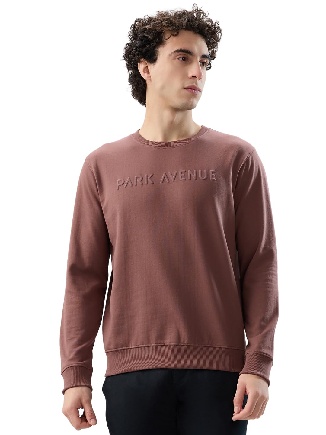 Park Avenue Men Slim Fit Solid Pattern Cotton Polyester Blend Round Neck Full Sleeve Casual Sweatshirt-picture-36