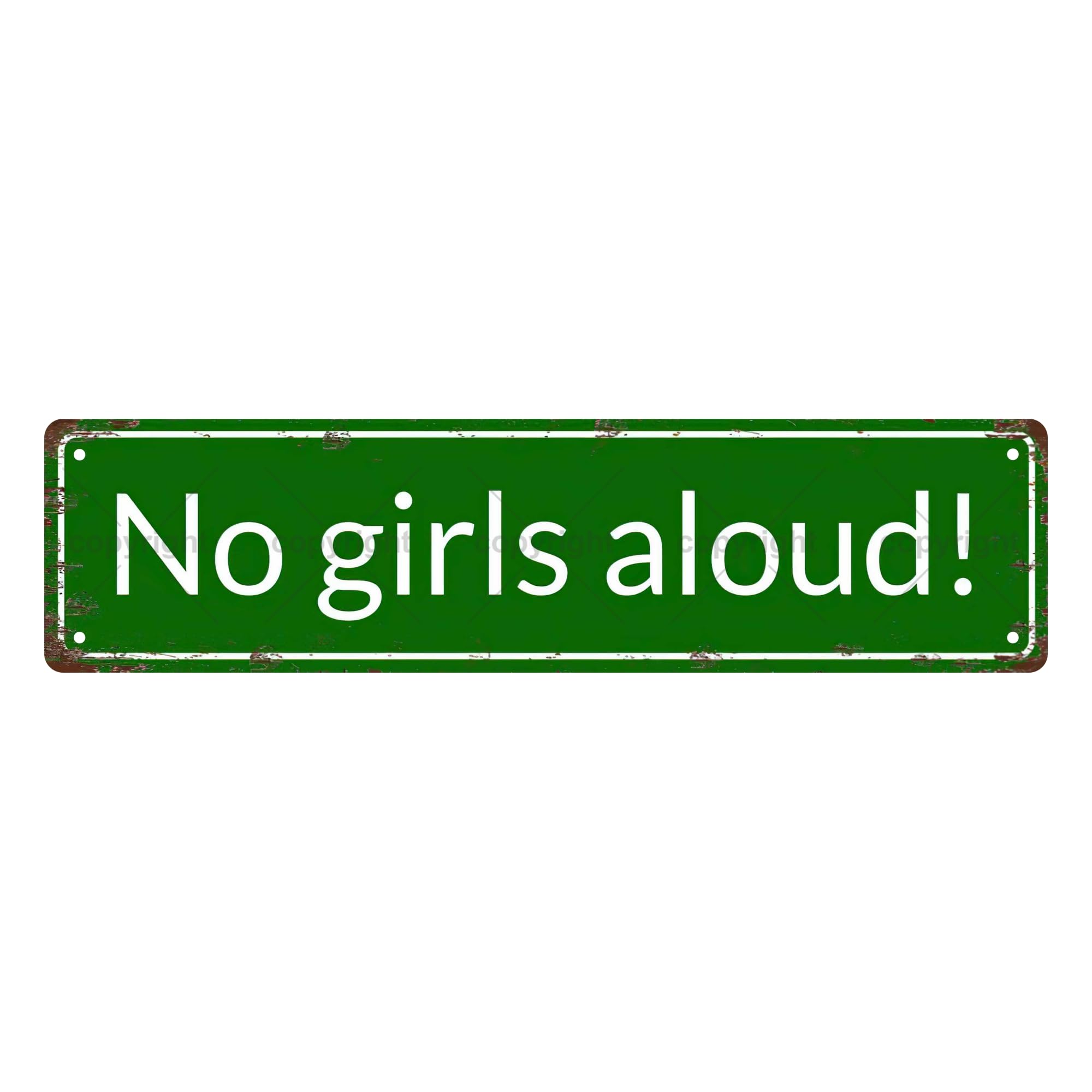 No Girls Aloud! Warning Vintage Metal Tin Sign,Street Sign,Home Decor,Room Decor,Wall Decor,Bathroom Decor,Bar Decor,Cafe Decor,Garage Decor,4x16 Inch