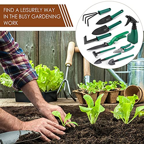 Tlymopukt Ferramentas de Jardim para Jardinagem, Conjunto de Ferramentas de Jardim de Aço Inoxidável