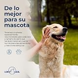 Ver la foto 6