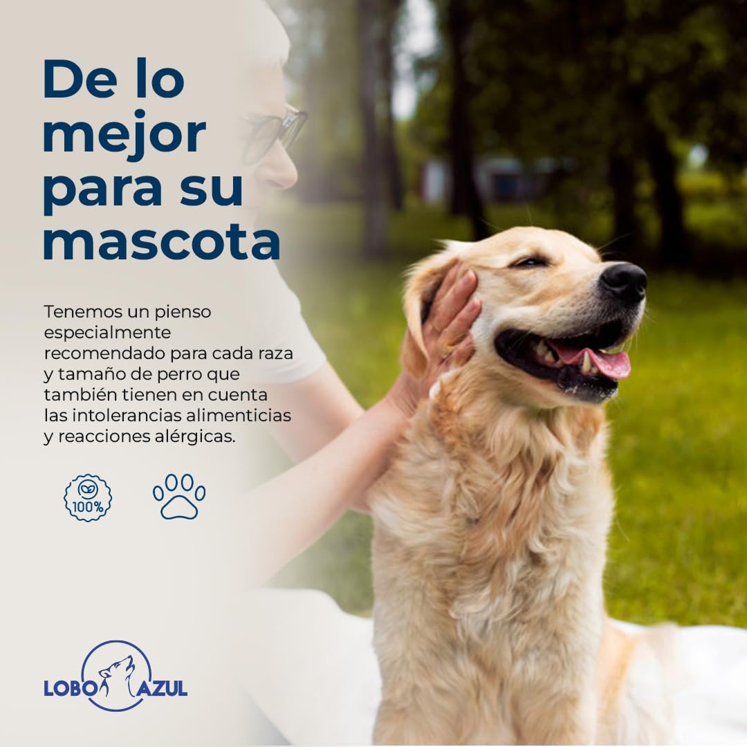 Pienso para Perros Grandes sin Cereales - Completo, Natural e Hipoalergénico para Razas Gigantes, Maxi - Grain Free con Pollo Fresco, Cordero, Pavo y Atún - 12kg - Lobo Azul Supreme Giant Adult