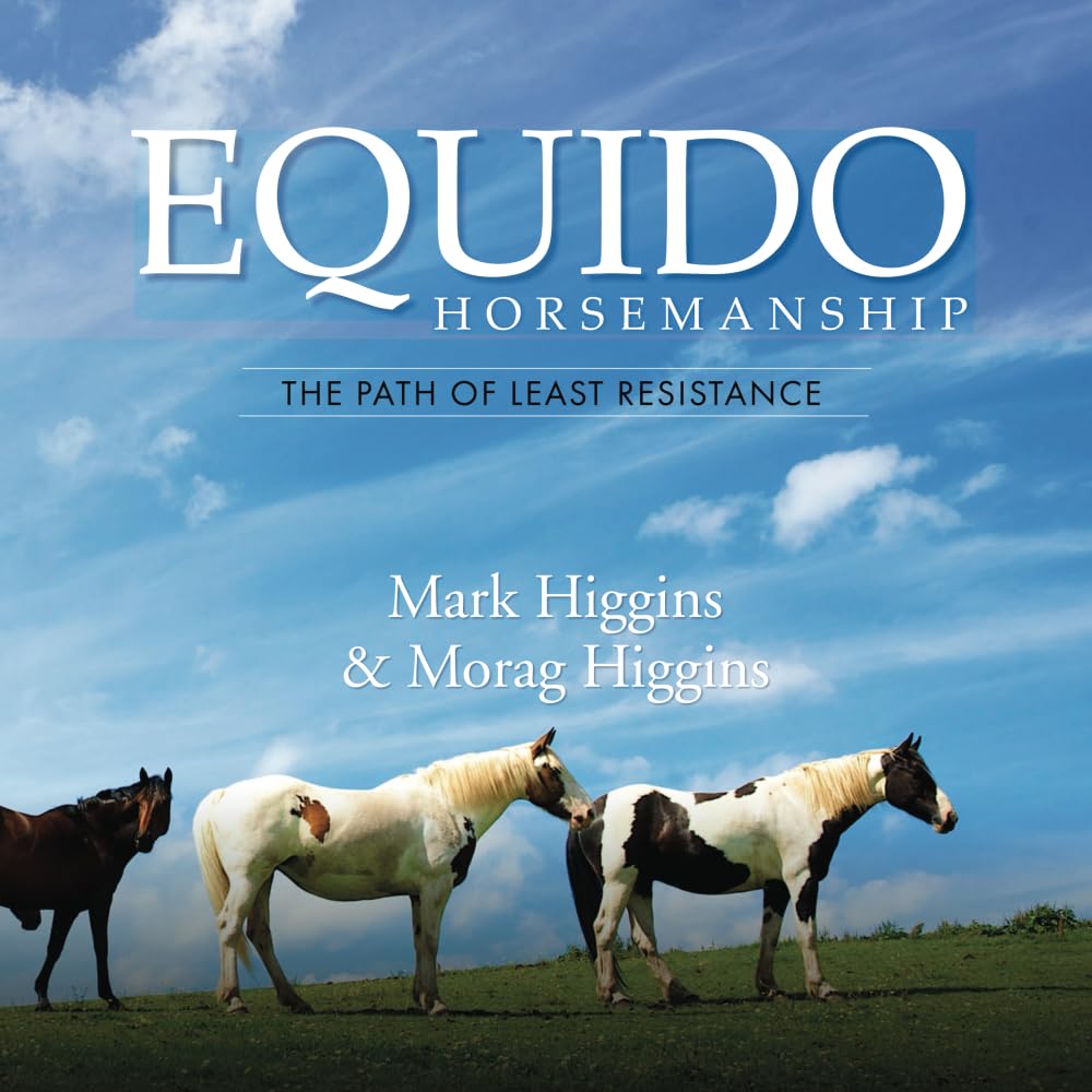 EQUIDO: THE PATH OF LEAST RESISTANCE