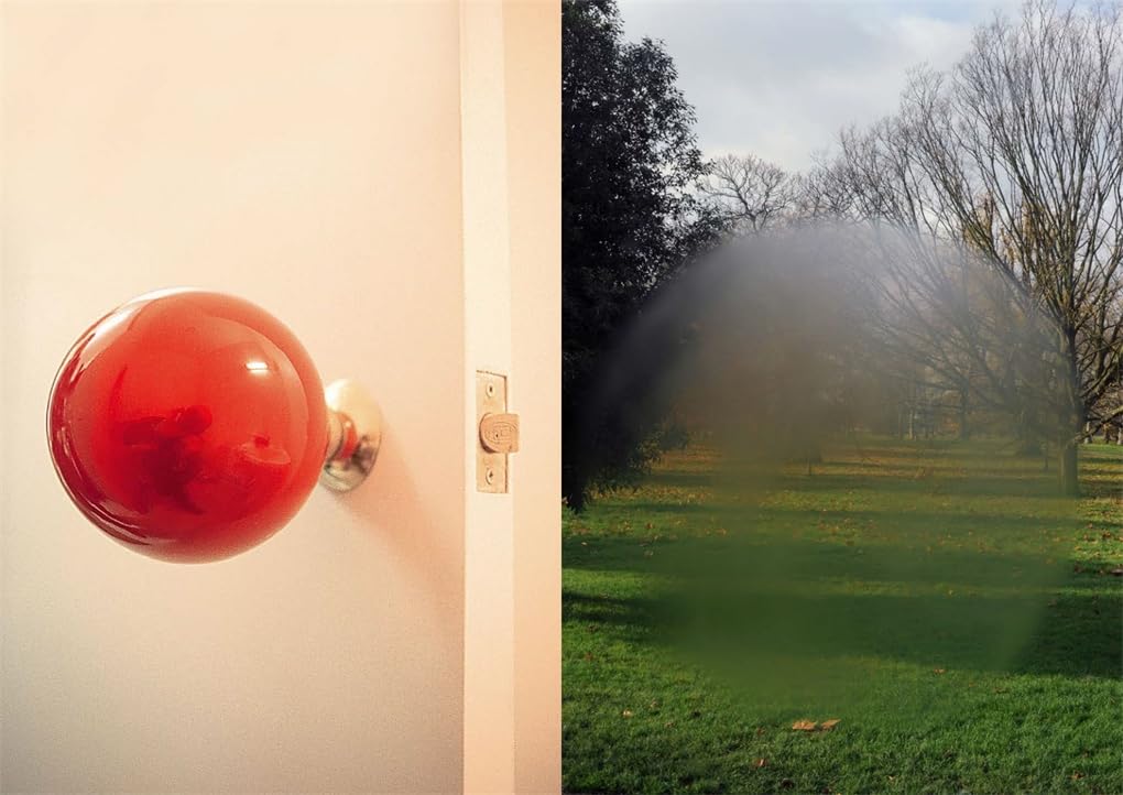 Cahiers D'art: Philippe Parreno: 47th Year