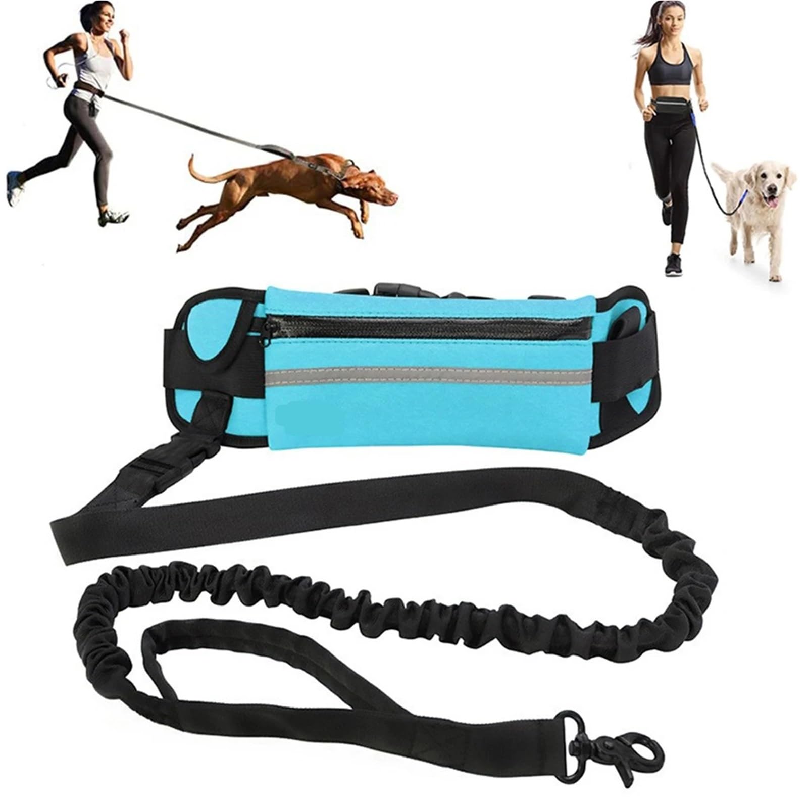 Joggingleine Hunde Hunde-Zugseilleine mit Gürteltasche, Nylon-Trainingsleine, Hundezubehör for Laufen, Gehen, Training, Wandern(Blue)