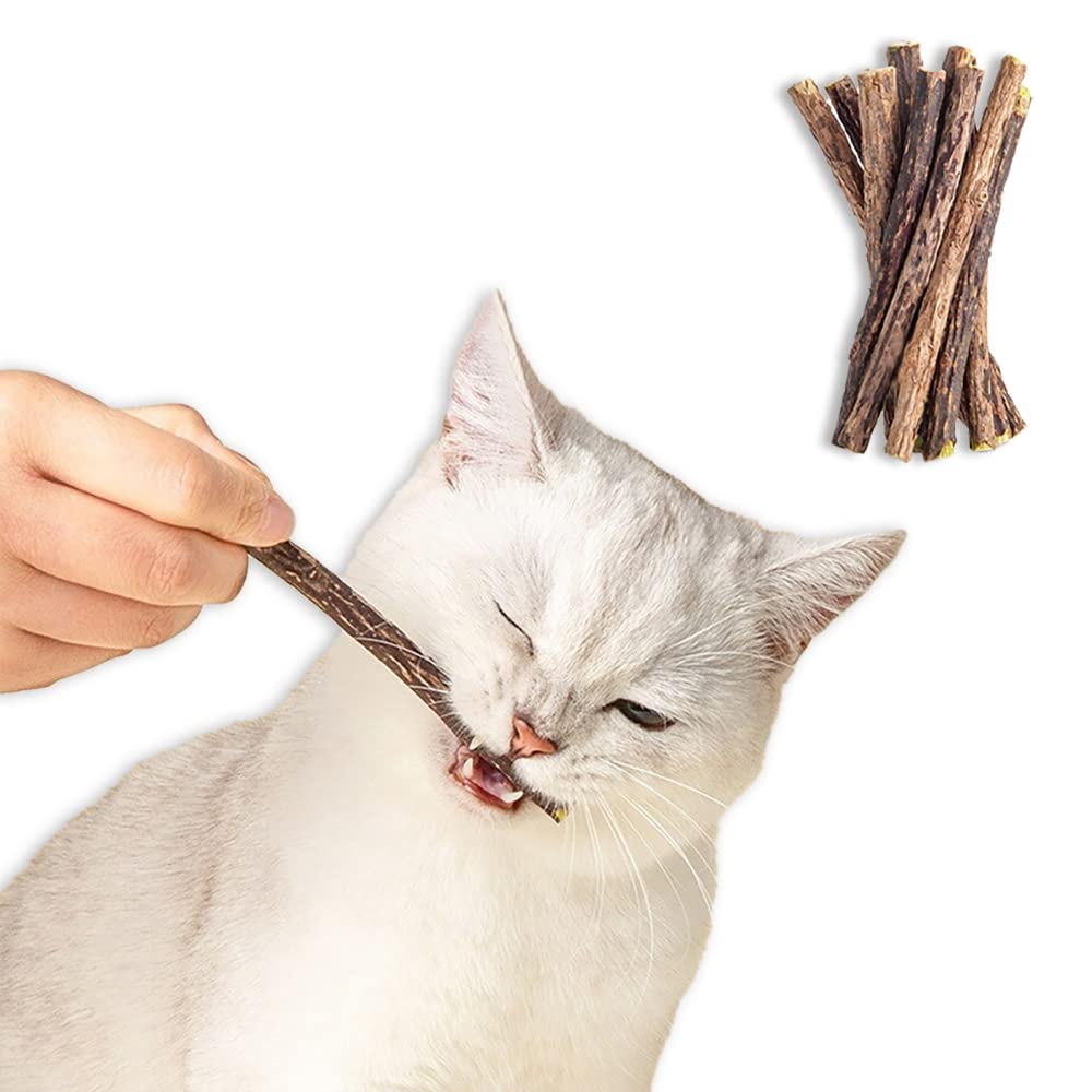 Leo's Paw Catnip Chew Toy Sticks Natural Silvervine Matatabi Healthy & Safe Combine Play & Dental Health Stimulate Appetite Promote Digestion Clean Teeth Fresh Breath Encourage Playtime (10-Pack)
