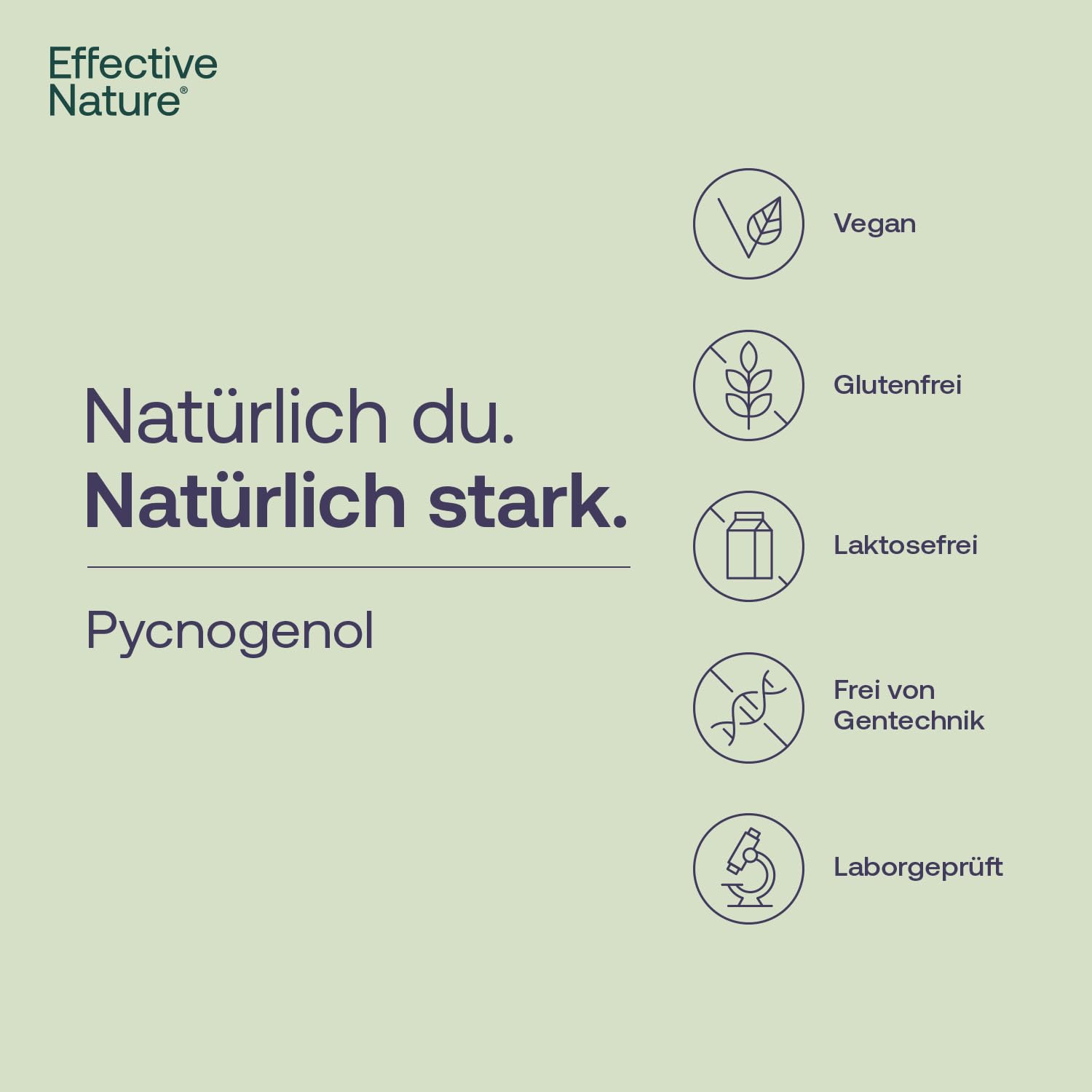 Effective Nature - Pinienrindenextrakt hochdosiert - Original Pycnogenol - mit Vitamin C aus der Acerolakirsche - Vegan - ohne Zusätze