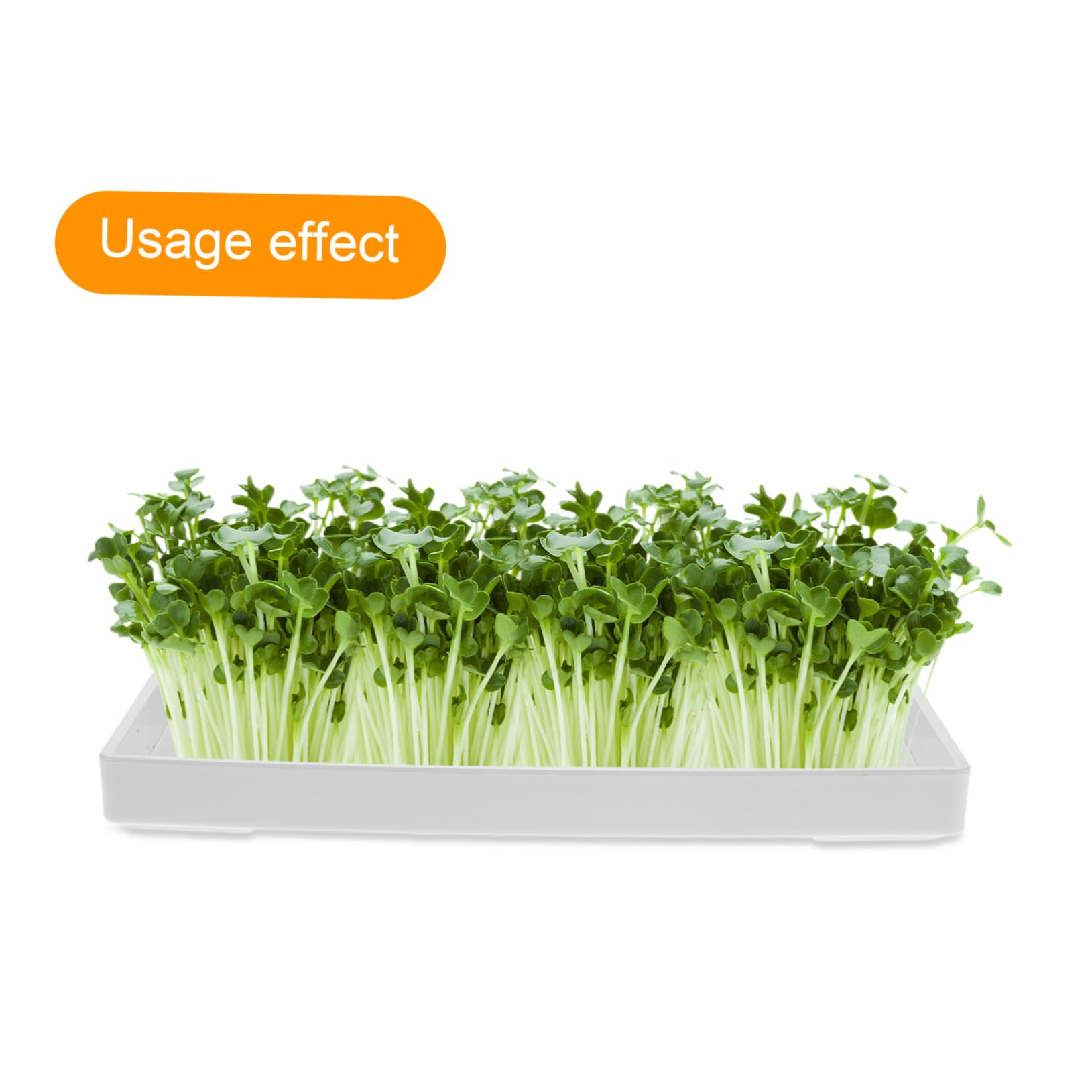 Plateau De Germination pour Cuisine Plateau De Plantation Pot Et Germination Facile pour Cultiver Pousses De Soja