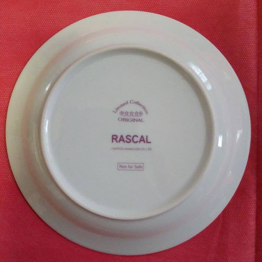 Amazon | あらいぐまラスカル お皿③ | ノーブランド品 | 小皿