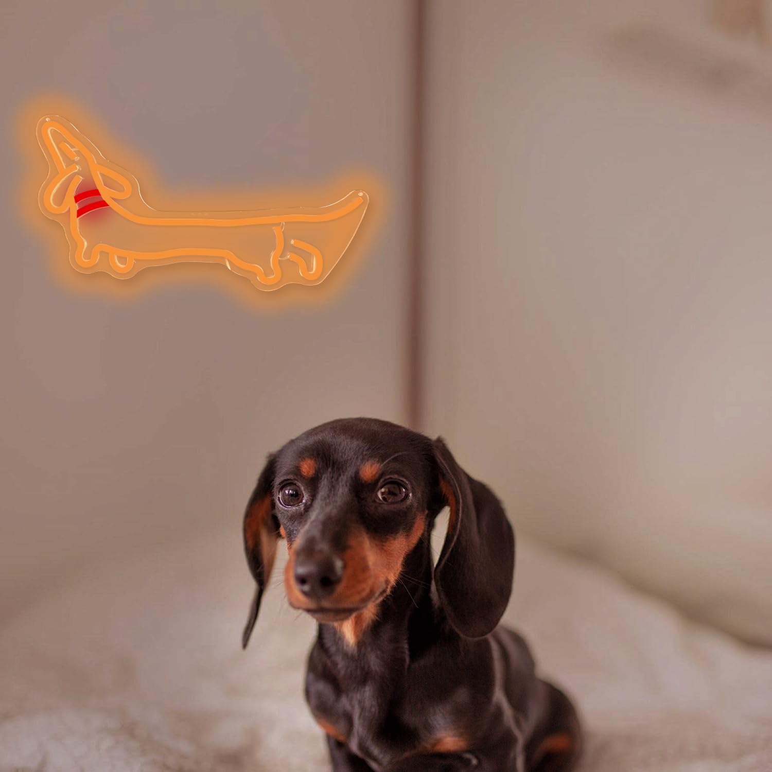 8-Quart Digital Air Fryer