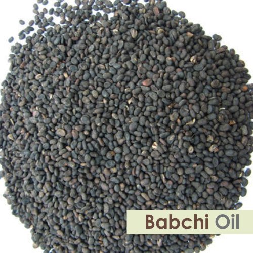Salvia Babchi Oil (Psoralea Corylifolia) 100% Pure & Natural Undiluted Uncut Cold Pressed Carrier Oil | Use For Aromatherapy | Therapeutic Grade (15 Ml) #TOP1