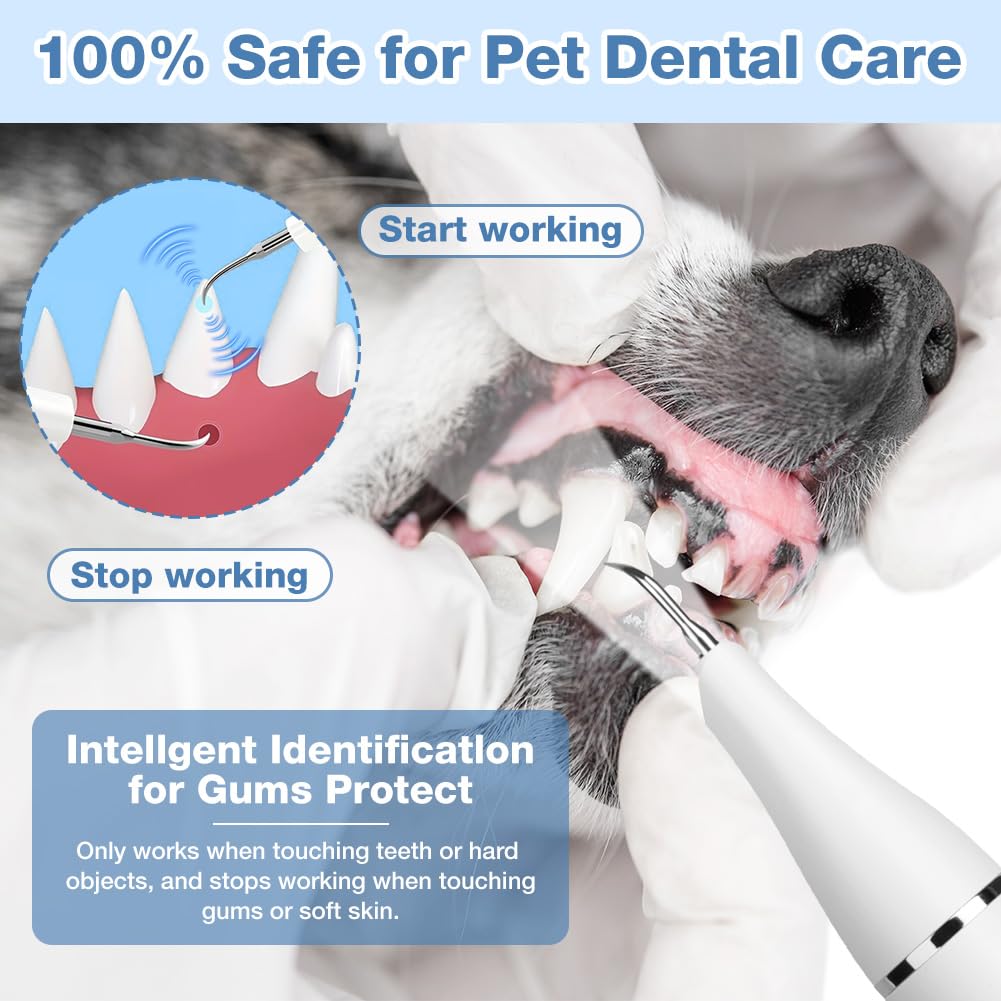 Aomig Electric Dog Plaque Remover 10Pcs Pet Dental Scaler with 5 Cleaning Modes 4 Cleaning Heads and LED USB Rechargeable Dental Care Kit - Image 3