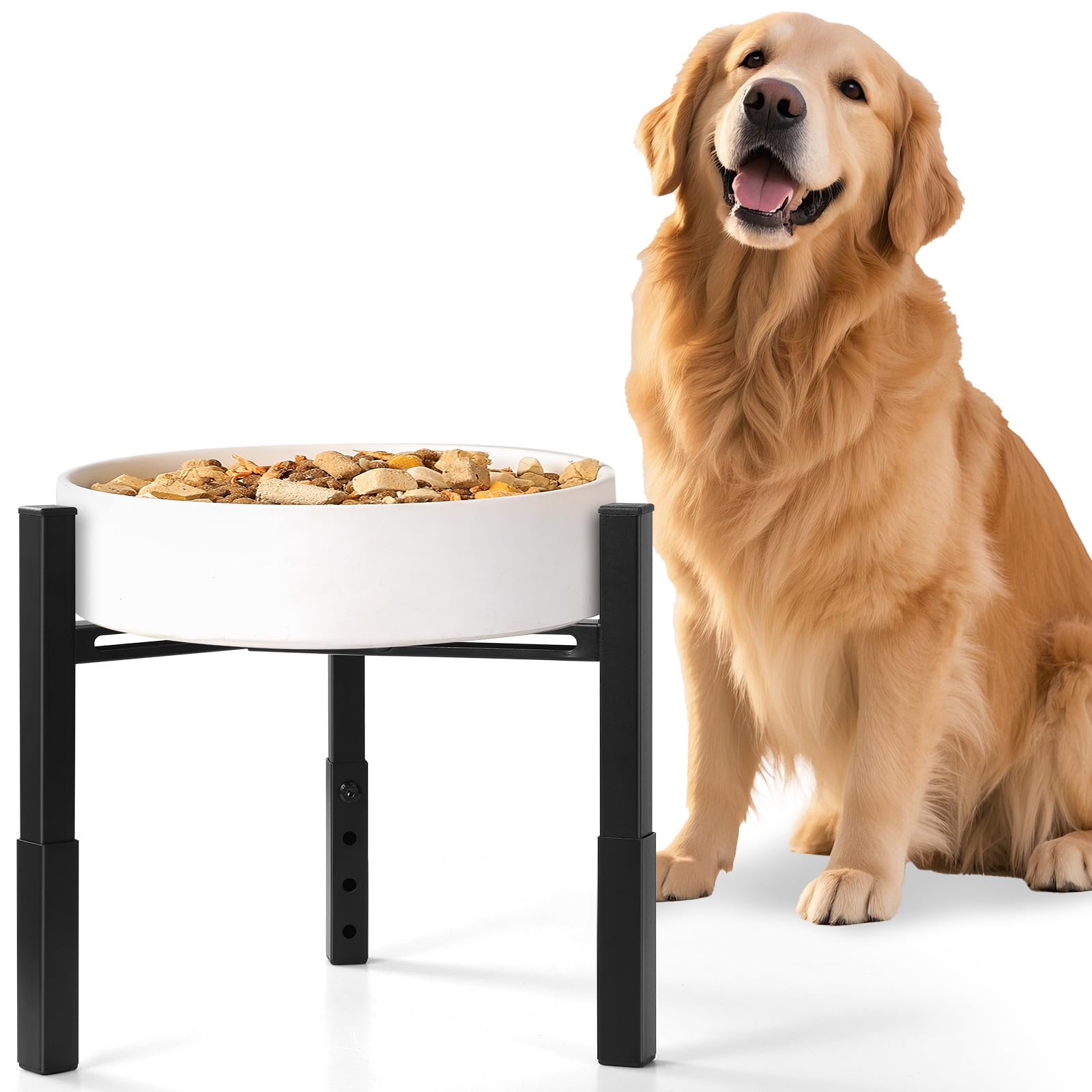 Cuenco elevado para perros