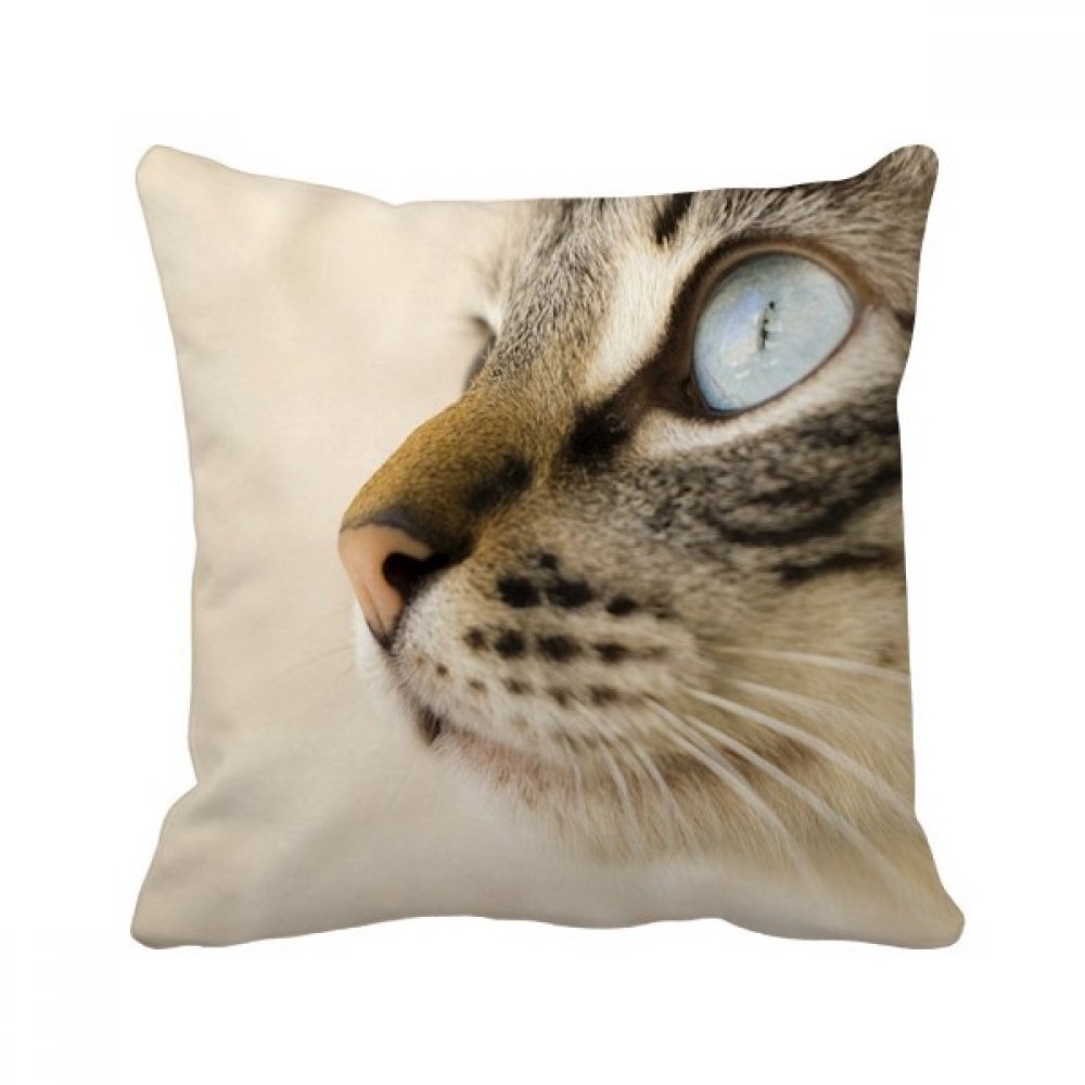 Oreiller décoratif chat Simpol taie et rembourrage multicolore 40x40cm pour maison et salon