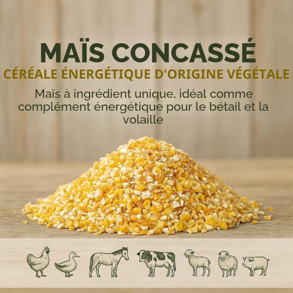 GiDeli Maïs fourrage jaune 15 kg – Grains de maïs cassés de qualité alimentaire – Nourriture pour poules, canards, chevaux et pigeons