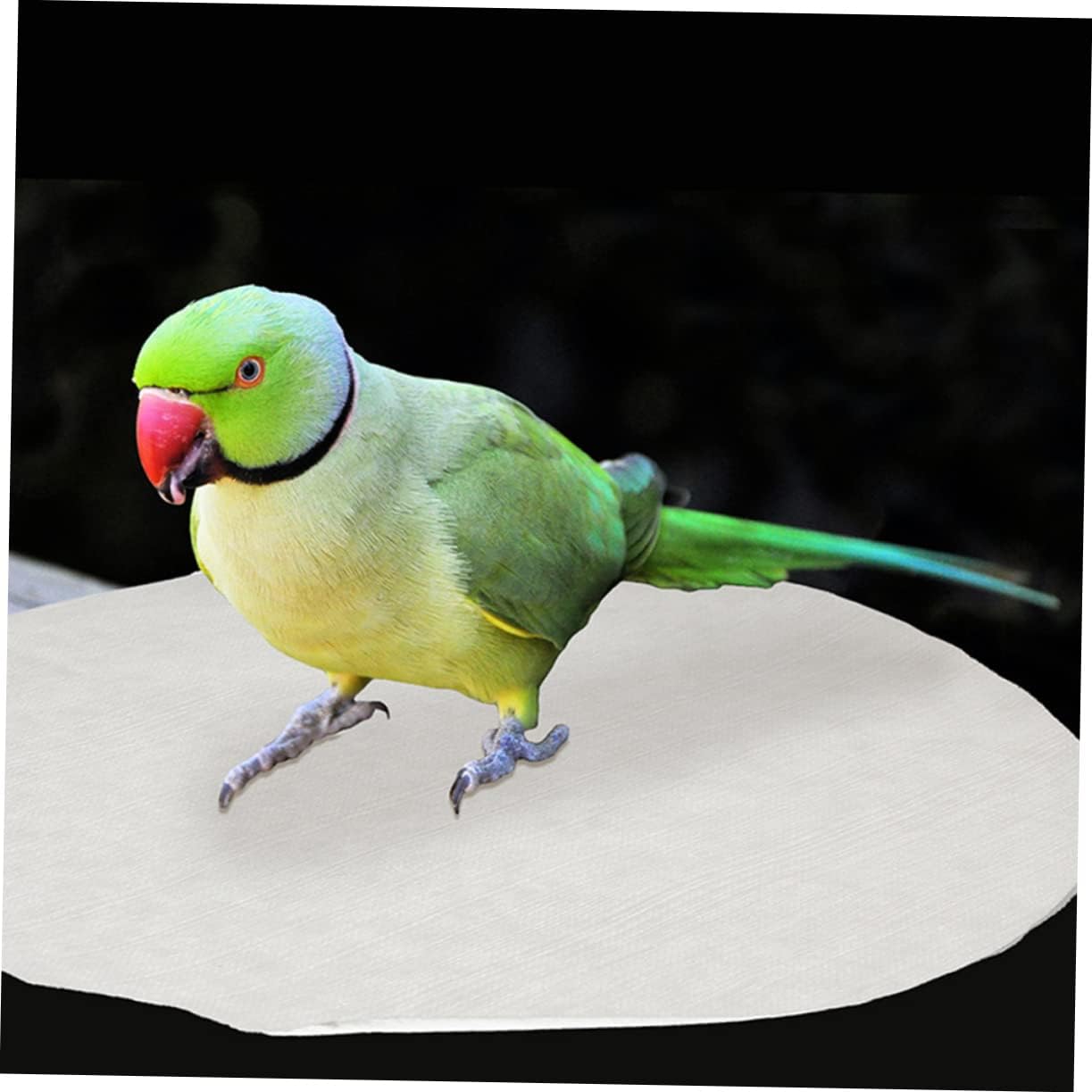 100pcs Bird Cage Mats Absorbent Parrot Cage Liners Cushions for Easy Cleaning for Promotes Healthy Environment
