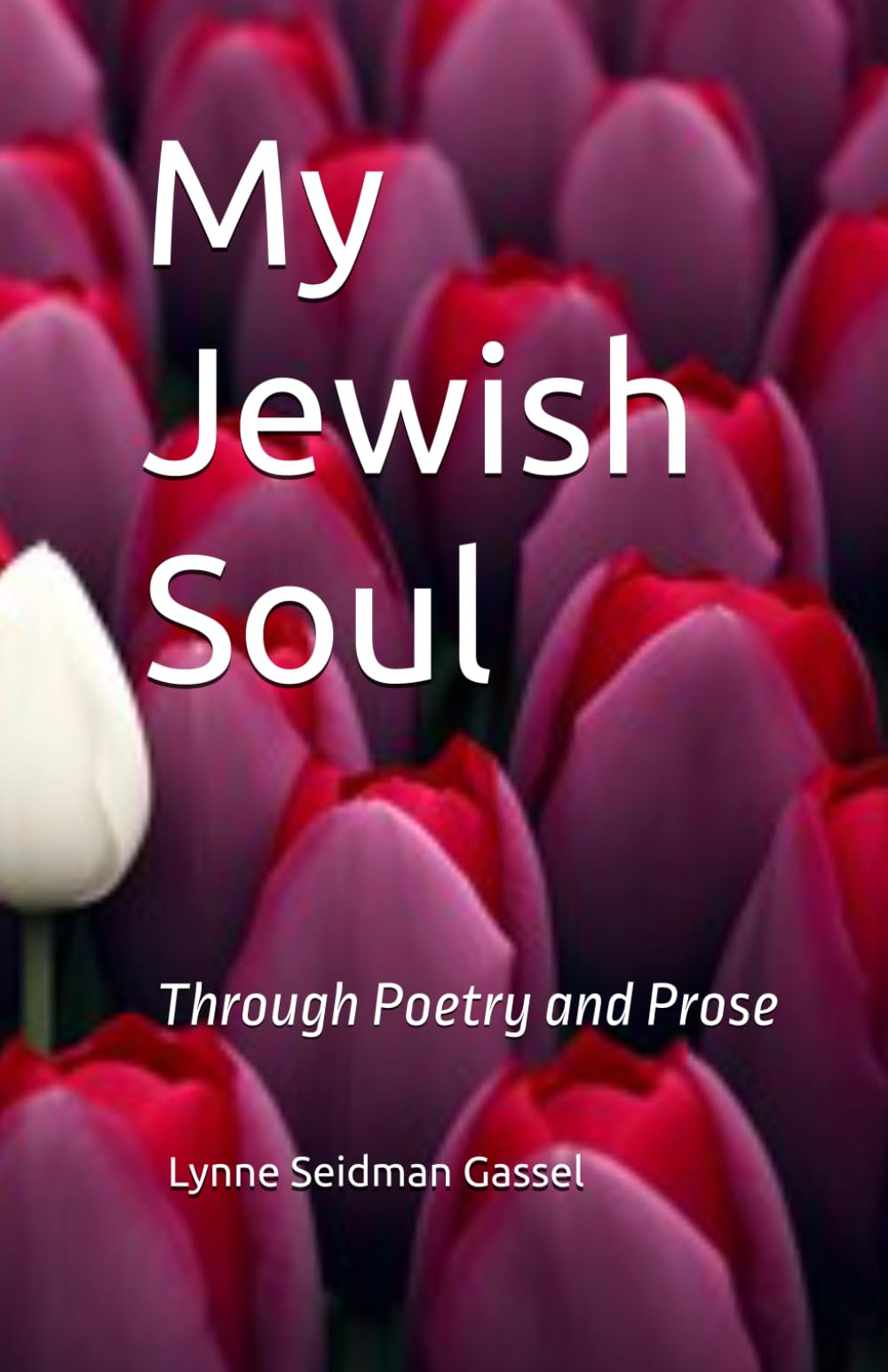 My Jewish Soul: Through Poetry and Prose