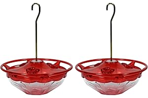 Hummingbird's Delight: HummBlossom 4oz Mini Hummingbird Feeder