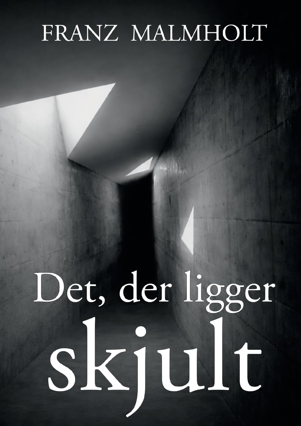 Det der ligger skjult: En roman om ansvar
