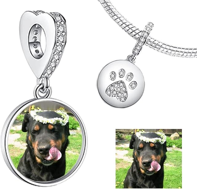 Andska Photo Charm Genuine Sterling Silver S925 Personalised Fit Pandora Snake and European Style Bracelet Bead Custom Add Your Image gift present Dog Cat Zircon Family Love Crown with Stones