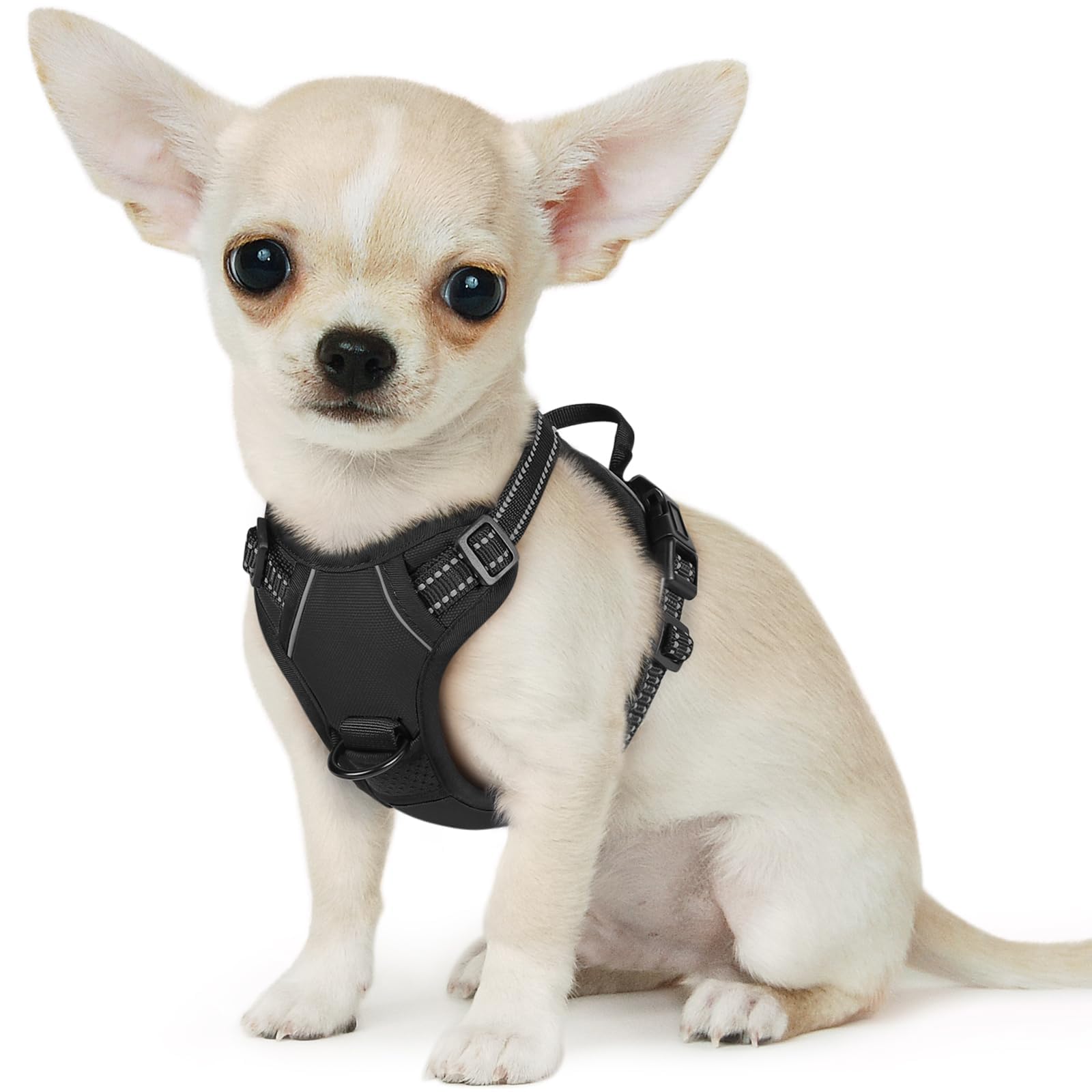 Eagloo Pettorina Cane Taglia Piccola, Pettorina ad h Antifuga, Imbracatura per Cani Anti Tiro con Doppio Gancio, Robusto e Regolabile per Addestramento, Imbracatura Cucciolo, XS, Nera