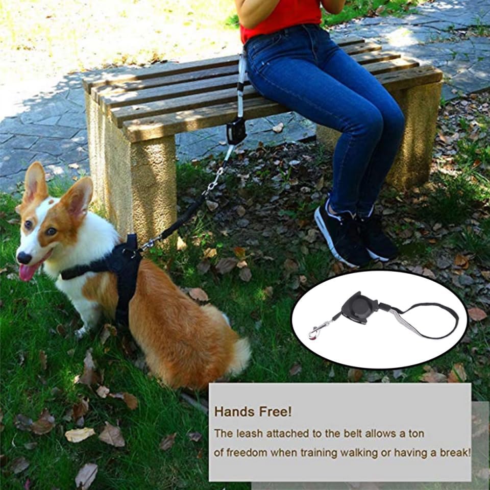 Miniatura 3 de Alipis Correa retráctil automática para perro, correa retráctil para perro, correa para caminar, manos y mascotas, cinturón de cuerda de tracción