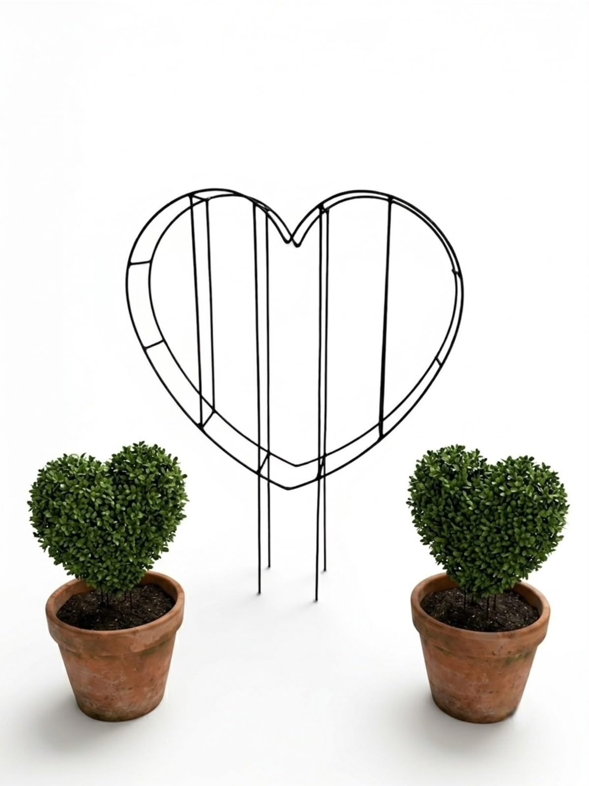 Om Sai Fabrication Heavy-Duty Heart Shape Topiary Frame Rust-Proof GI Metal Plant Stand for Home & Garden Decoration | Outdoor Climber Support Grid / Gamla Stand / Plant Support-image-17