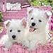 West Highland White Terrier Puppies 2017 Mini Calendar 7" x 7"