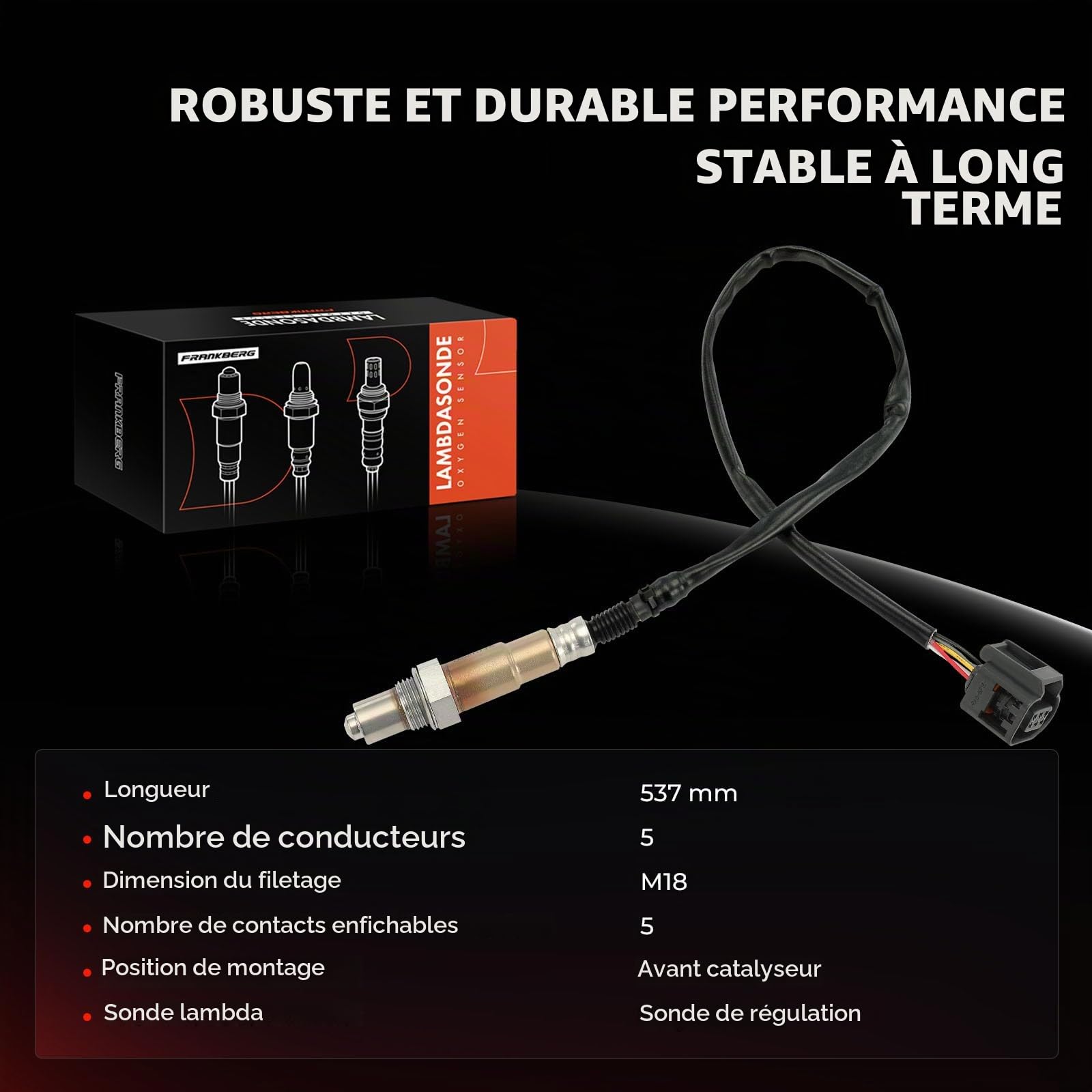 Frankberg Sonde de contrôle 0258027017