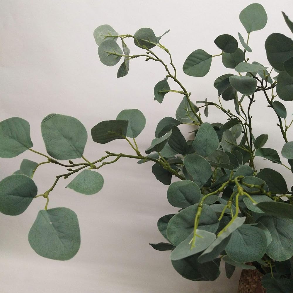 50 Semillas De Eucalipto Robusta - Árbol De Crecimiento Rápido, Perenne, Para Jardín O Seto