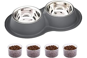 Double Dog Bowl with Mat for Medium Large Dogs
