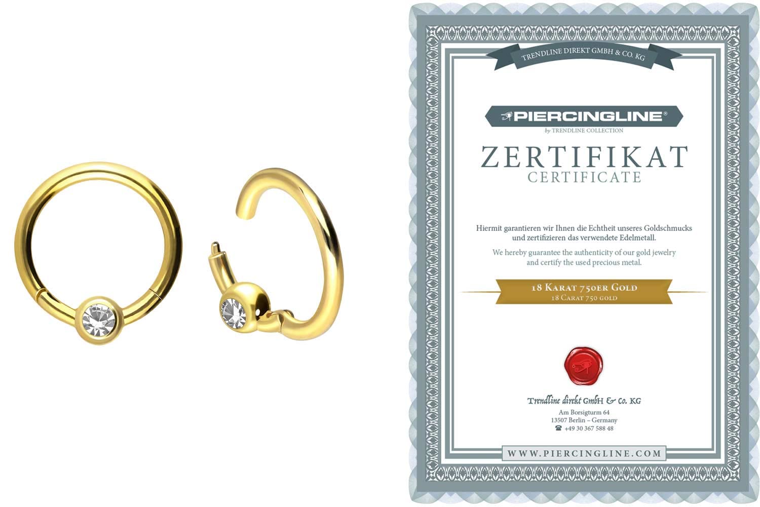 PIERCINGLINE 750er Gold Segmentring Clicker | 18 KARAT | KRISTALL | Piercing Ring Septum Helix Tragus | Farb & Größenauswahl