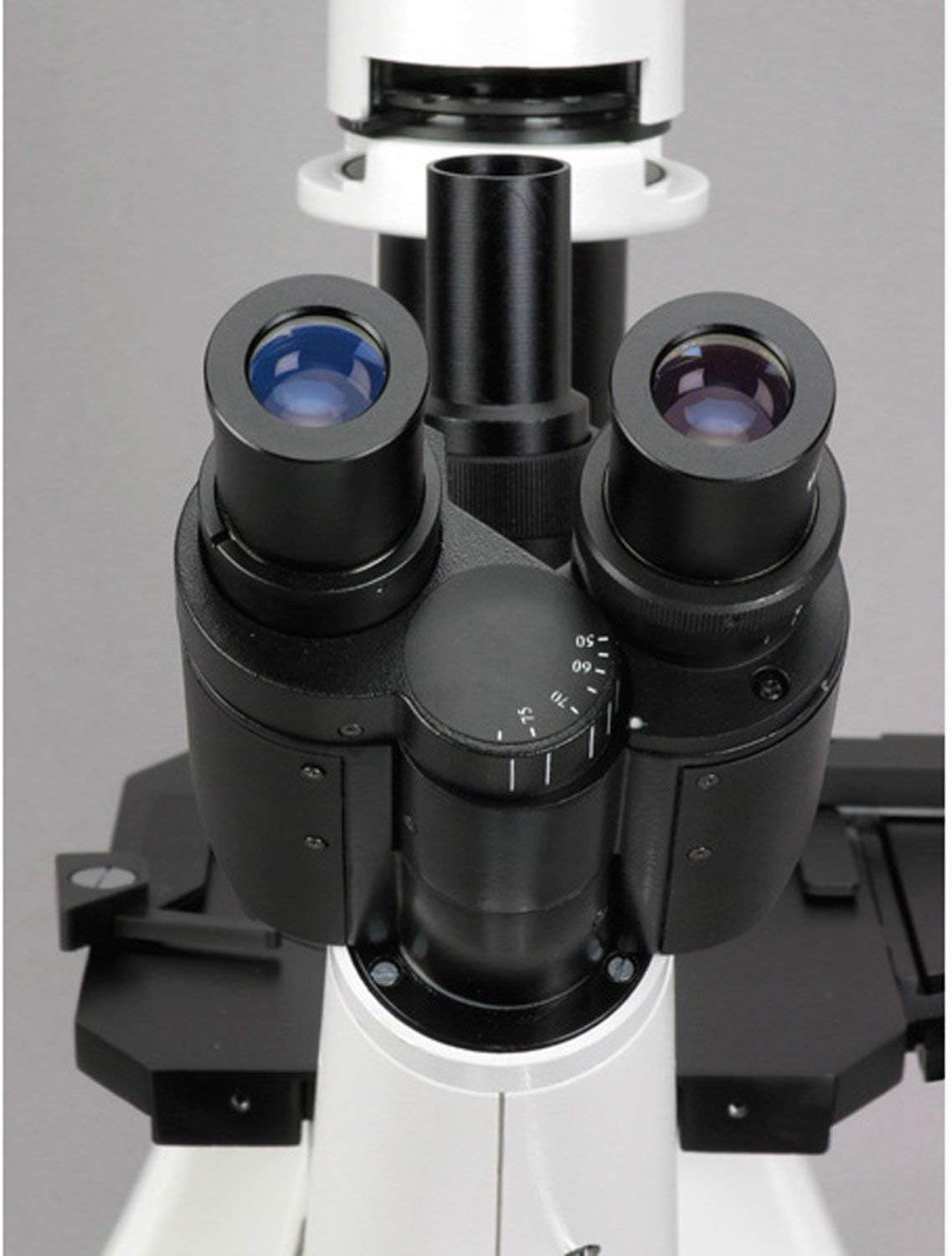 AmScope IN300T Long Working Distance Inverted Trinocular Microscope, 40x-400x, WH10x Super-Widefield Eyepieces, Phase-Contrast Objectives, 30W Halogen Illumination, 0.3 NA Abbe Condenser, Mechanical Stage, 110V