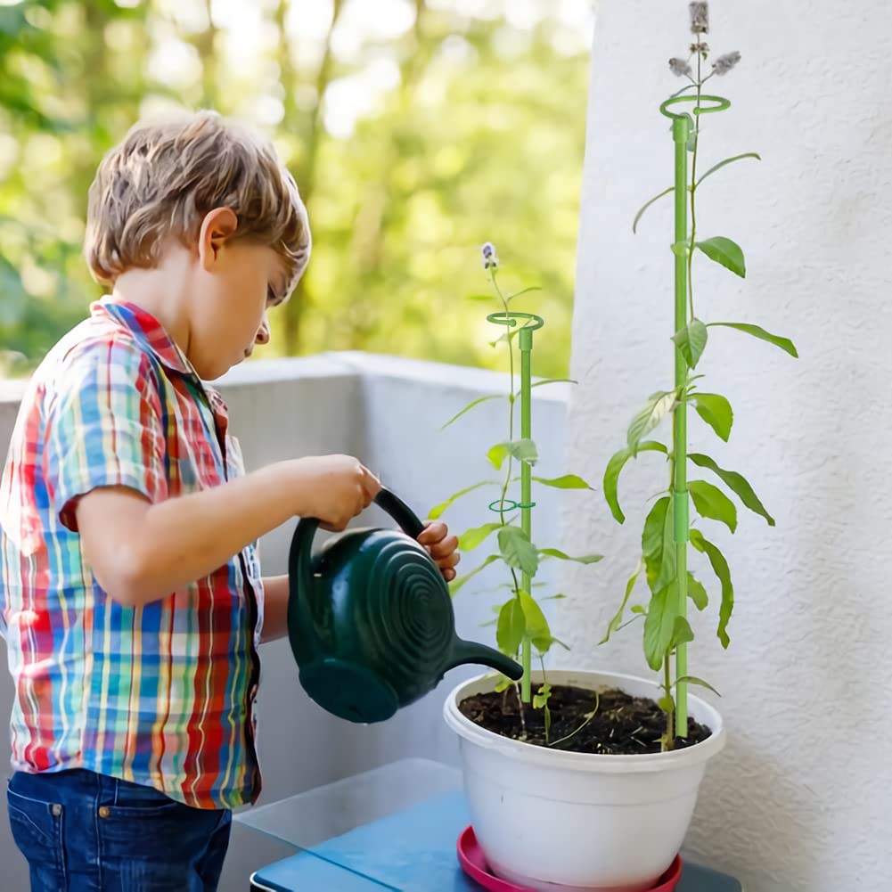 Lot De 10 Piquets De Support Pour Plantes, Aramyllis à Tige Unique Pour