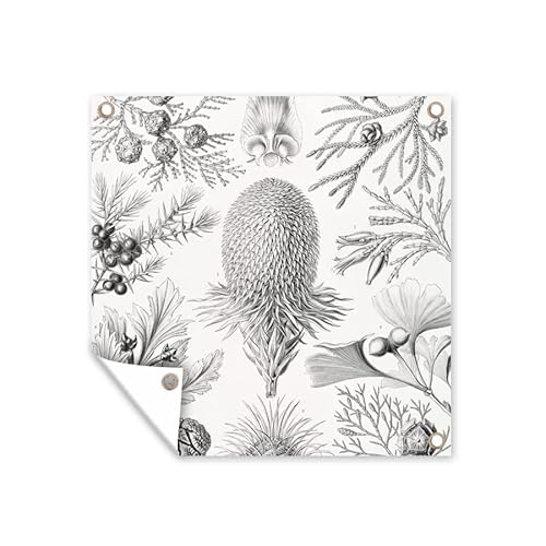 MuchoWow Poster exterieur Conifères - Ernst Haeckel - Art - Rétro - Illustration - Nature Decoration murale 100x100 cm Résistant aux intempéries/soleil