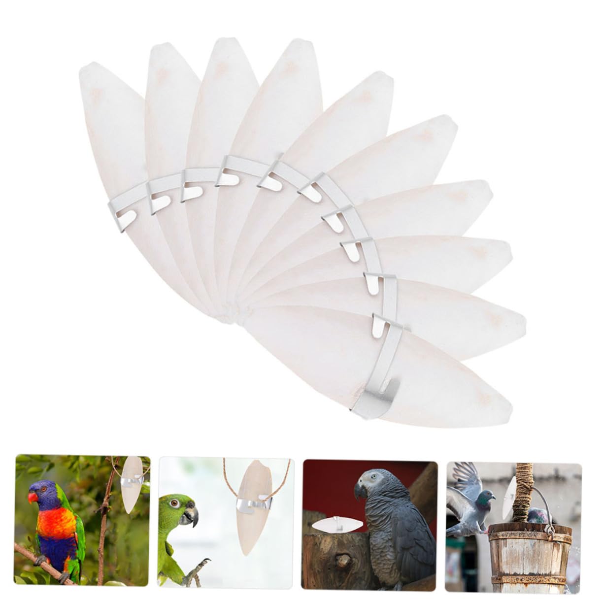 Mipcase 50pièces Jouets à Mâcher pour Perroquets De Seiche Jouets pour Oiseaux avec Design Pendentif Adaptés Aux Perruches Et Perroquets Accessoires Sûrs Et pour Jeu Et Entretien