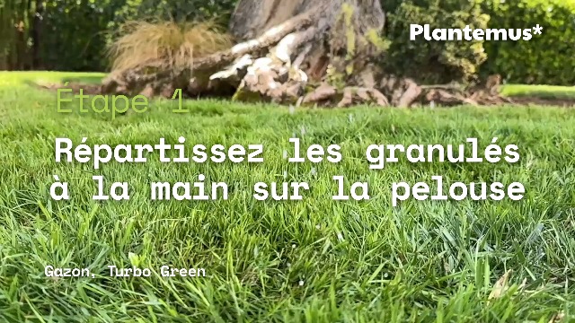 Engrais Gazon Turbo Azoté PLANTEMUS 5.5 KG - Technologie Allemande 175 M²