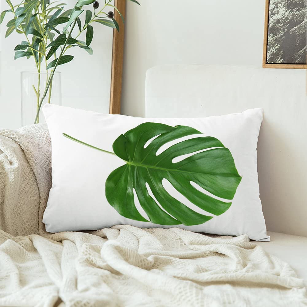 philodendron gloriosum moosstab Philodendron Gloriosum for Sale | Rare Velvet Leaf Aroid
