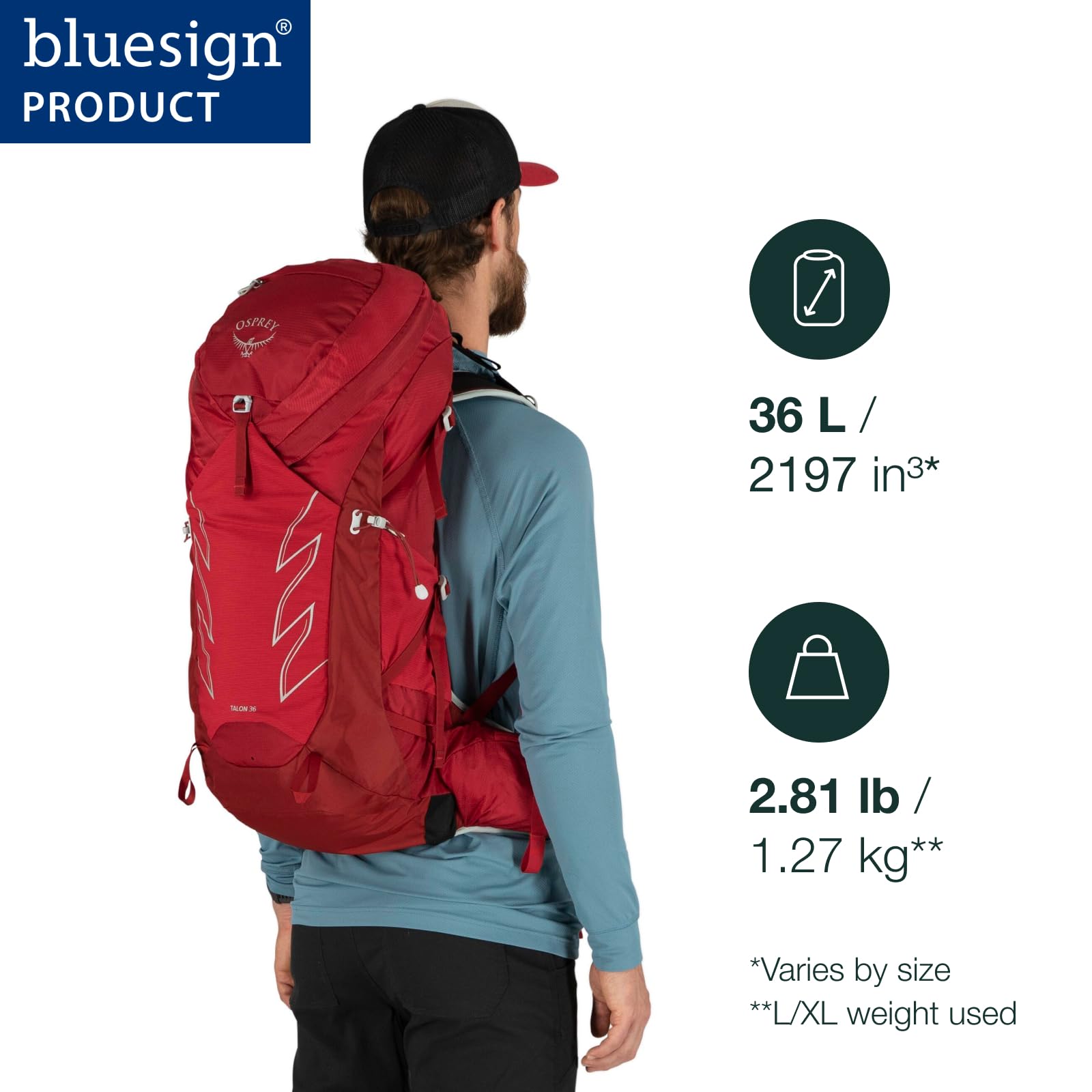 Amazon.co.jp: OSPREY(オスプレー) タロン 36 L-XL ステルス