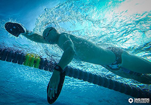 Synergy Hand Paddles For Swim Training (Medium, Pink) #TOP4