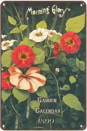 Cartel de metal de hojalata para pared, diseño de flores vintage, póster de flores de gloria de la mañana, cuadro de flores naturales, cocina,
