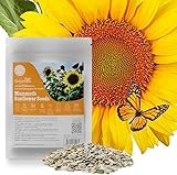 Groundio Sunflower Seeds to Plant, 1 OZ, Grow Giant Mammoth Sunflower in Your Garden, 300+ High Germination Sunflower Seed, Grown in The USA