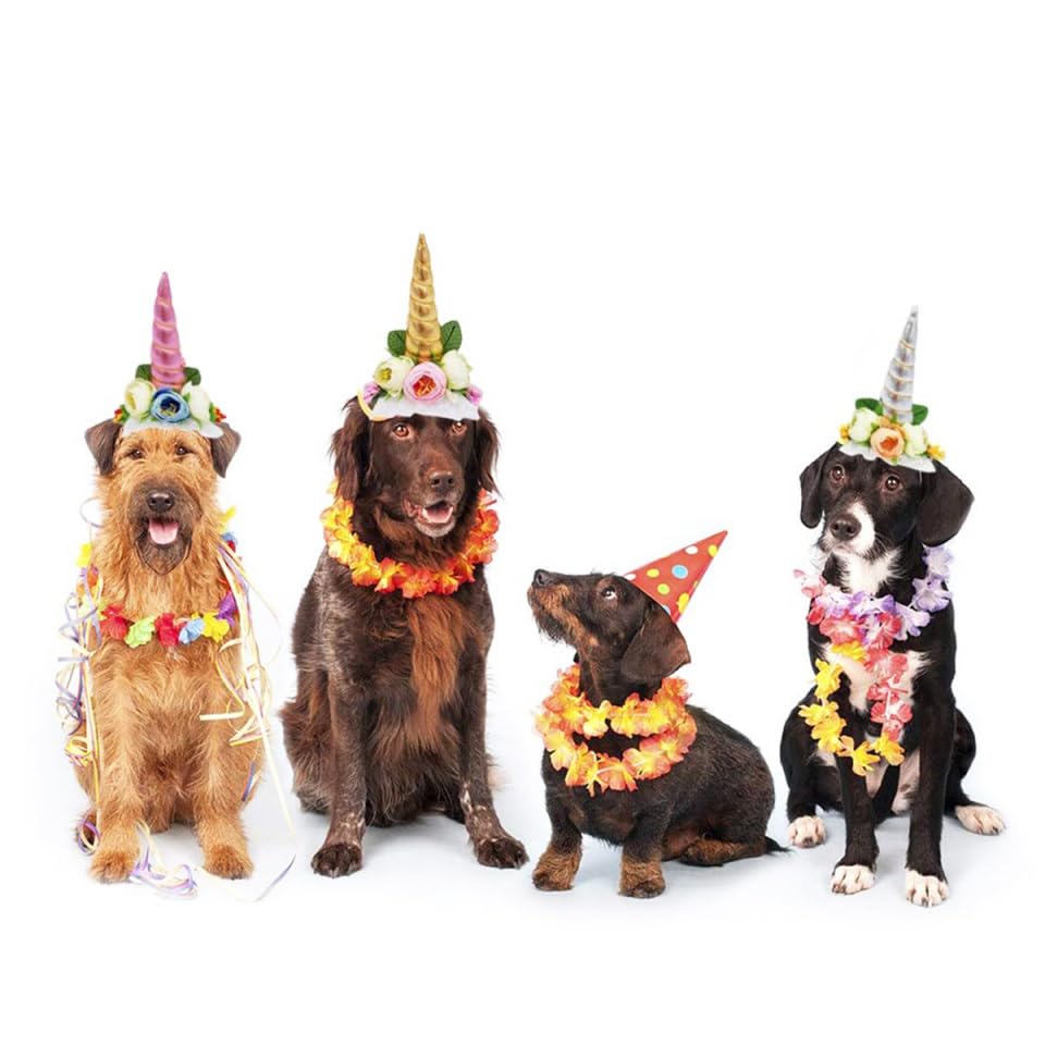 2 Piezas Sombrero Unicornio para Perros Pequeños miniatura 3
