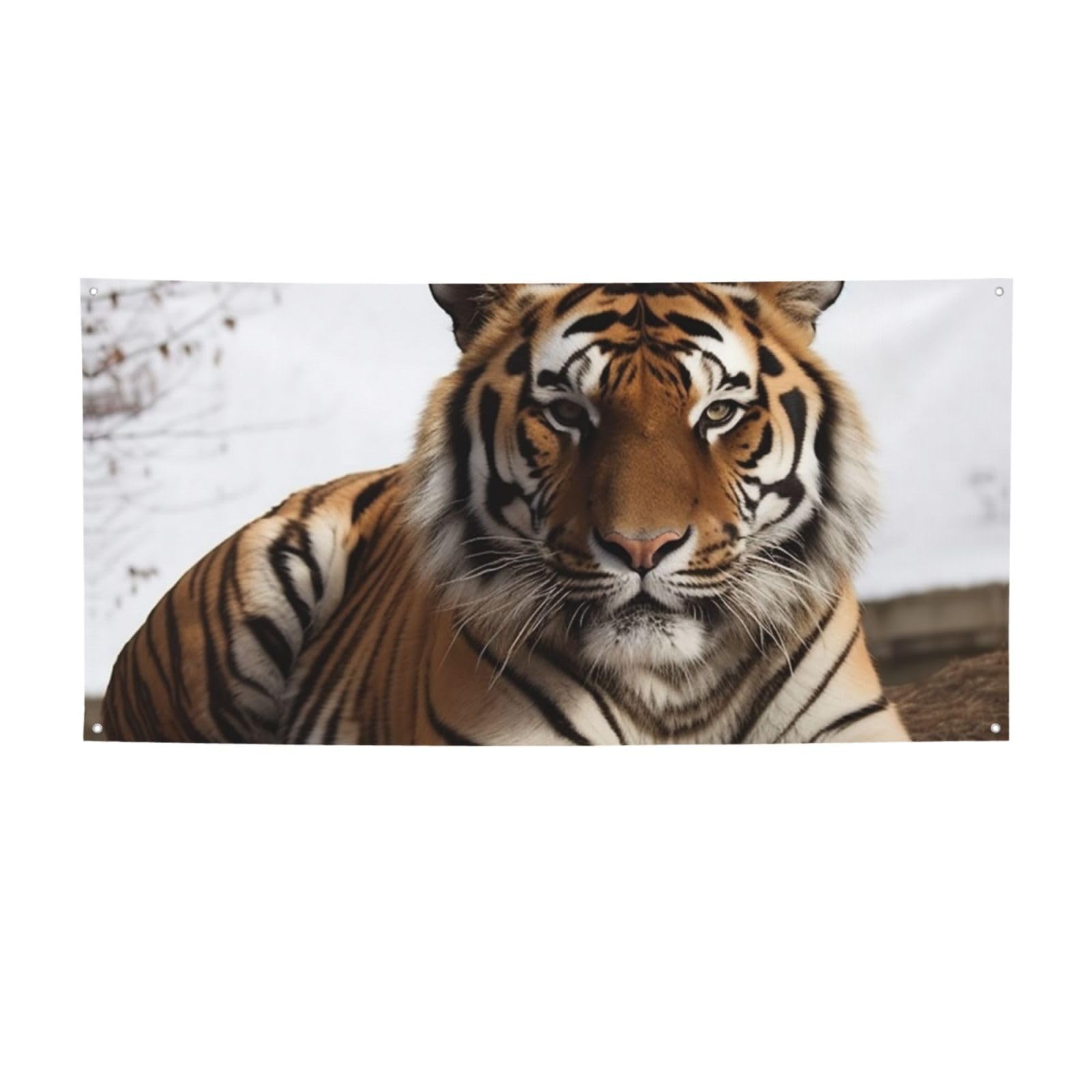 Welcome Banner Big Tiger Party Flag Photography Backdrop Birthday Background Wall Decor Sign 47 x 24 Inch Photo Props Banner and Sign Flag for Fence Garden Indoor Outdoor Decor Small