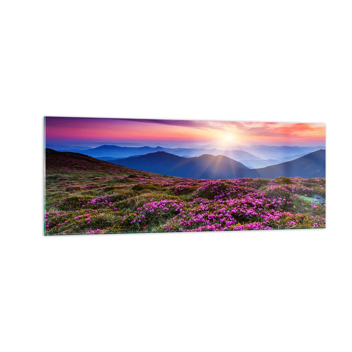 ARTTOR Impression sur Verre Moderne 140x50cm Paysages Nature - 2719