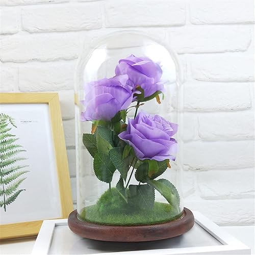 Miniatura 5 de PMUYBHF Decoraciones para el día de San Valentín regalo de rosas para ella guirnalda de luces artificiales en cúpula de cristal regalos de mujer