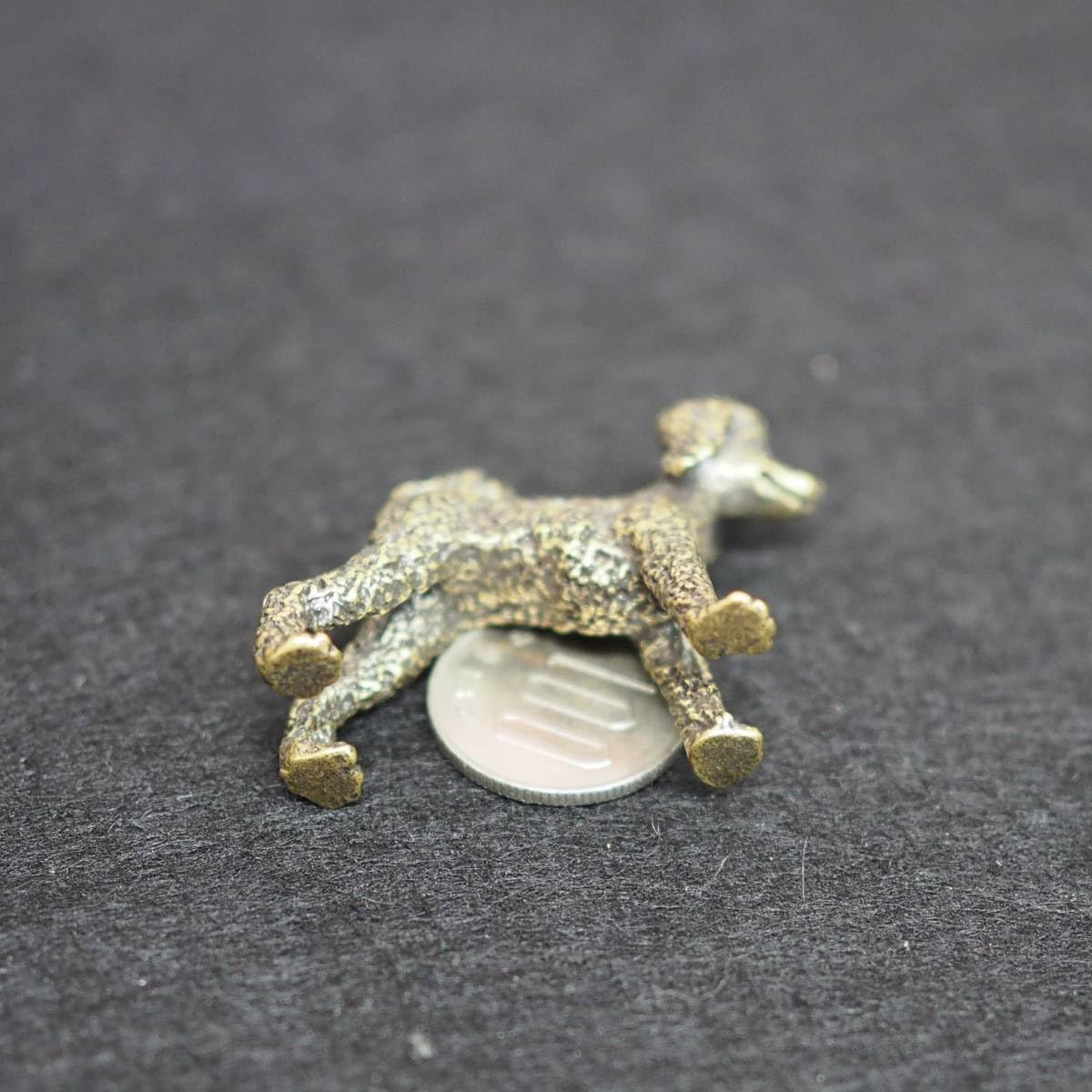 箱付き ティーカッププードル デキャンタ プリンセス 500ml 陶器ボトル