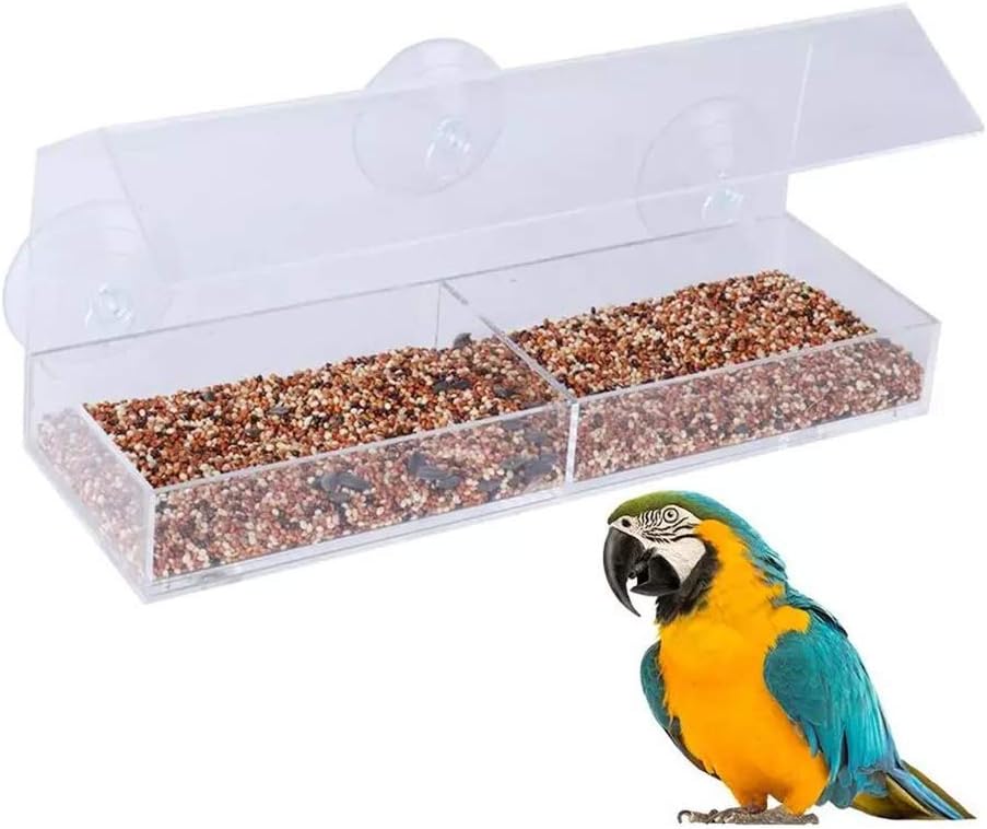 bird watching per gatti