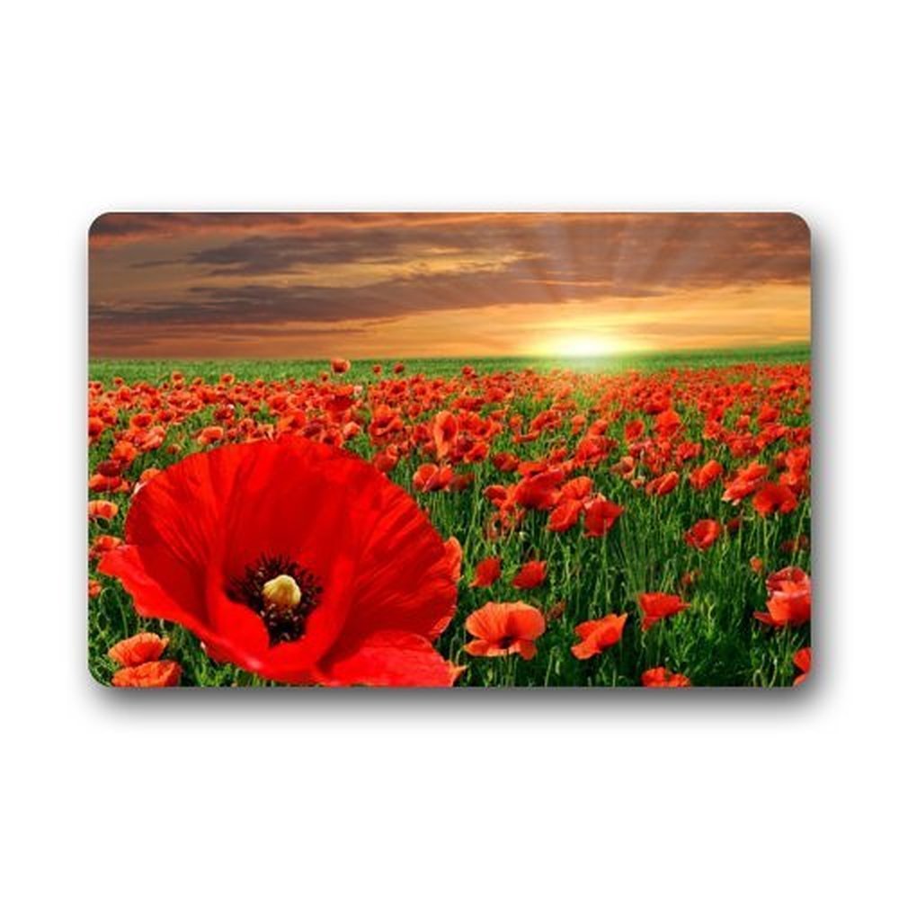 DENSY Bseautiful Poppy Flowers Field Door/Outdoor Non Slip Rubber Doormats Door Mat 18 x 30 Inch Bathroom Kitchen Decor Area Rug/Floor Mat 18 x 30 Inch